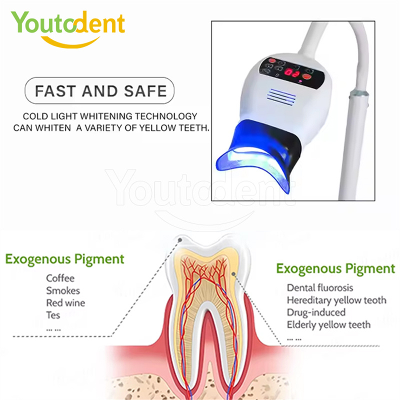 Professional Dental 3Color Lig - Teeth Whitening Machine Professional 리뷰 및 가격
