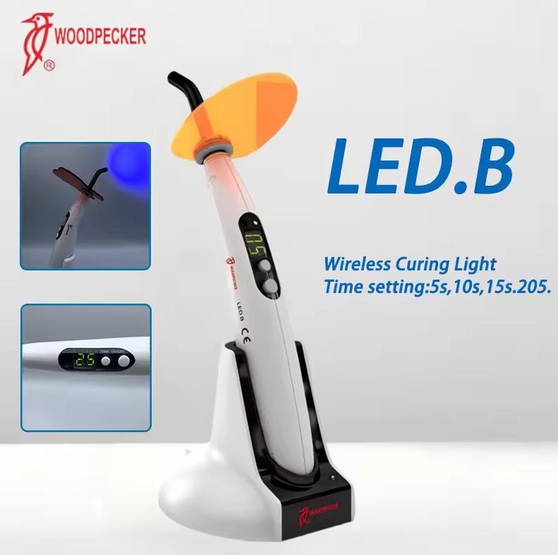 Dental Curing Light Woodpecker - Teeth Whitening Device 리뷰 및 가격
