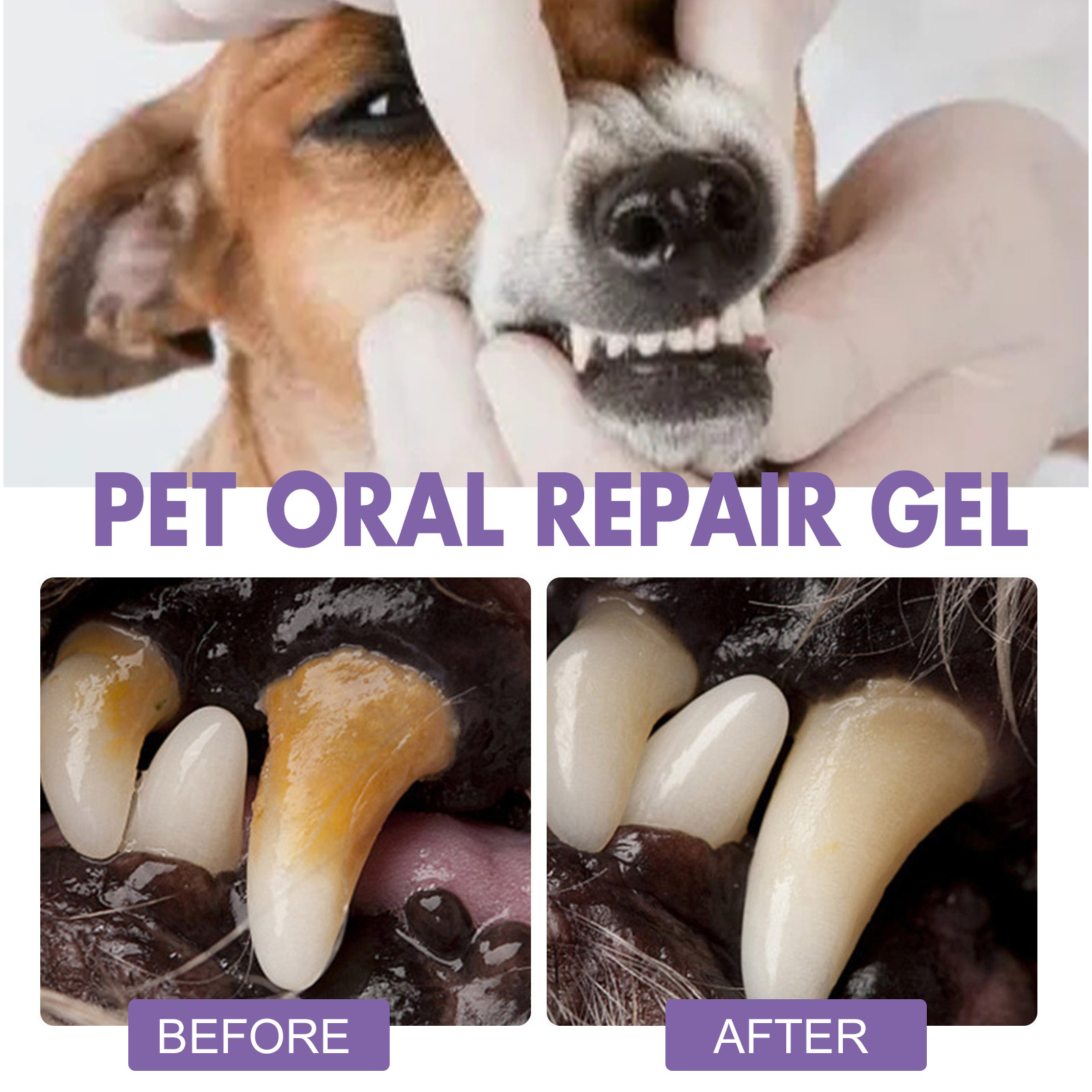 Pet Oral Repair Gel Puppy Tart - Teeth Whitening Foam 리뷰 및 가격