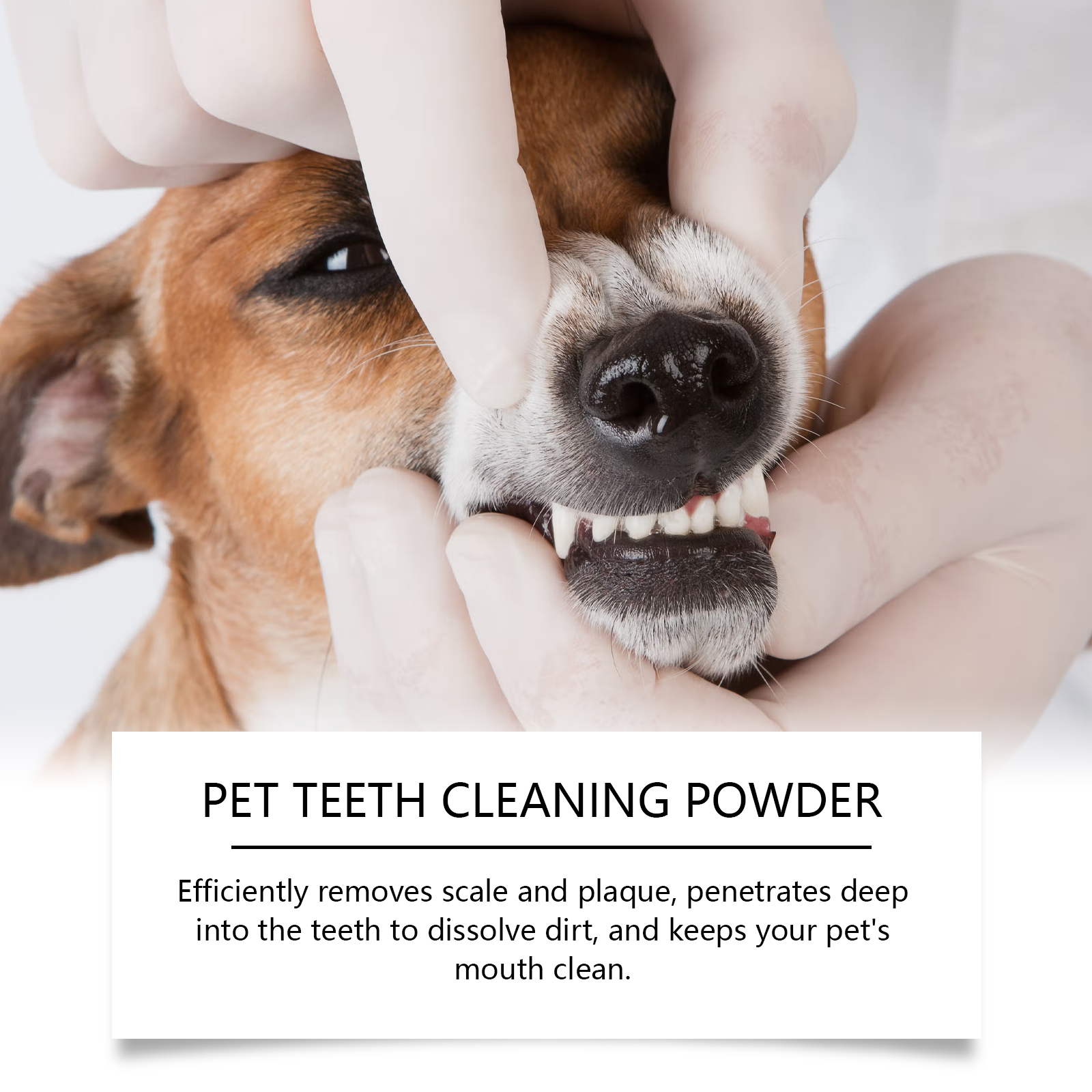 Pet Teeth Cleaning Powder Redu - Teeth Whitening Ai 리뷰 및 가격